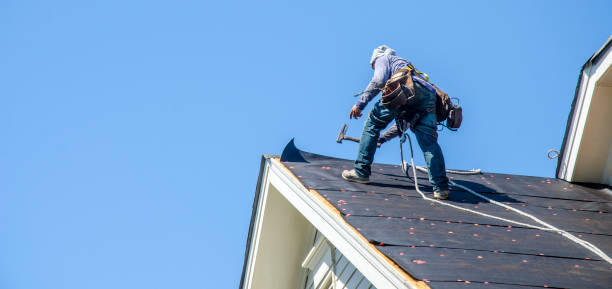 Best New Roof Installation  in Greenville, NC